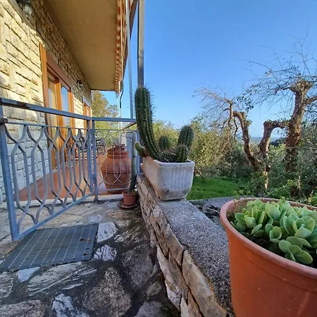 Apartman Mare *