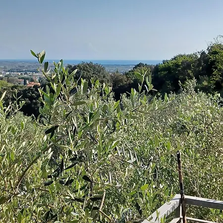 Mare * Rosignano Marittimo
